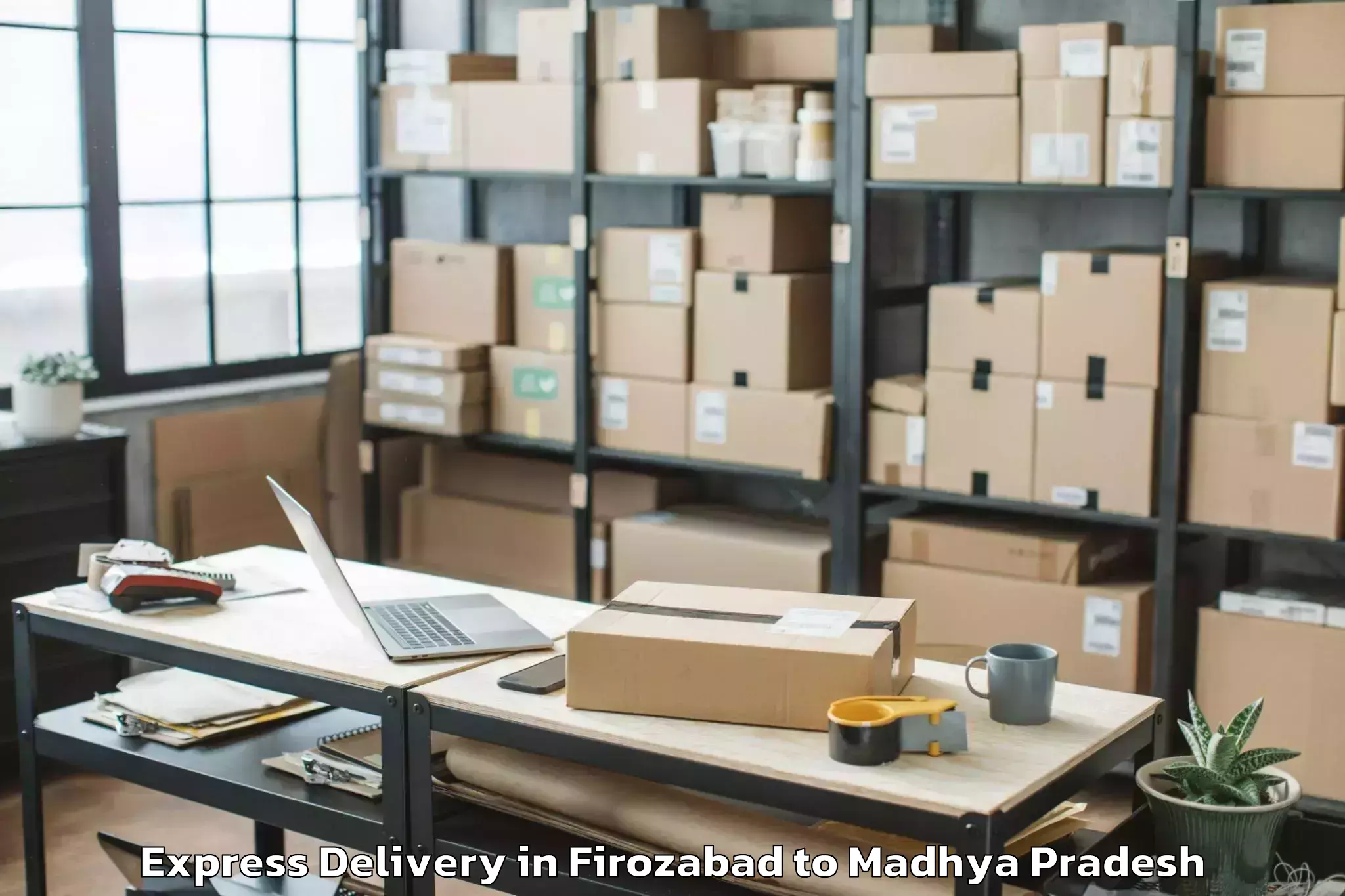 Leading Firozabad to Khilchipur Express Delivery Provider